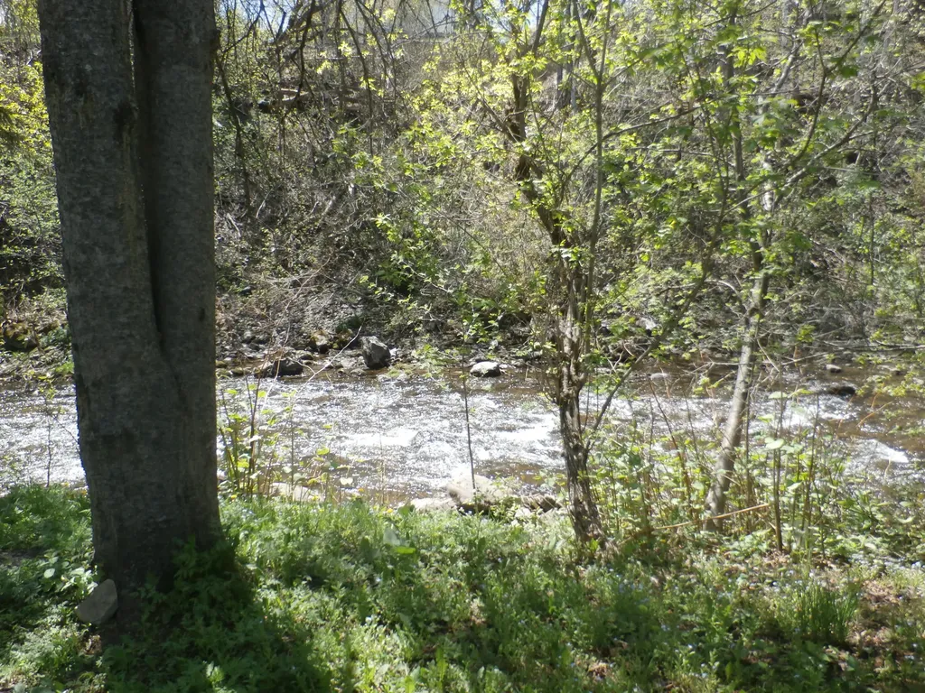 51 Water Street Caribou ME 04736