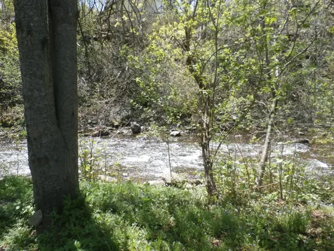 51 Water Street Caribou ME 04736