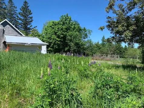 60 Center Street Machias ME 04654