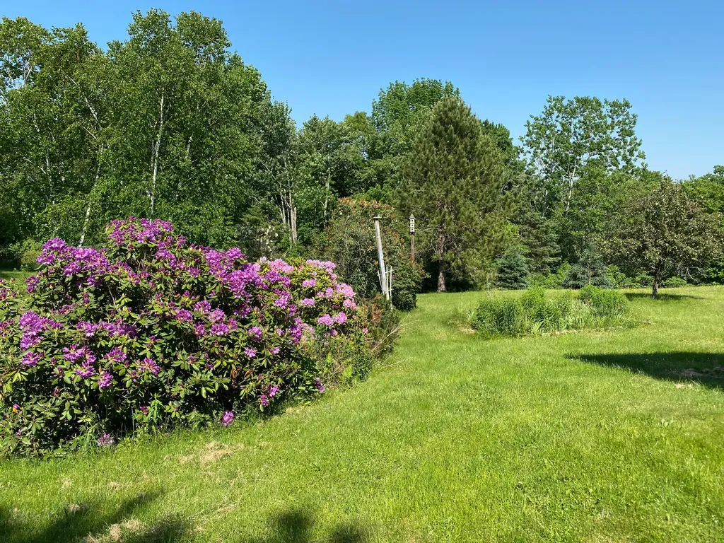 117 Russell Hill Road Bucksport ME 04416