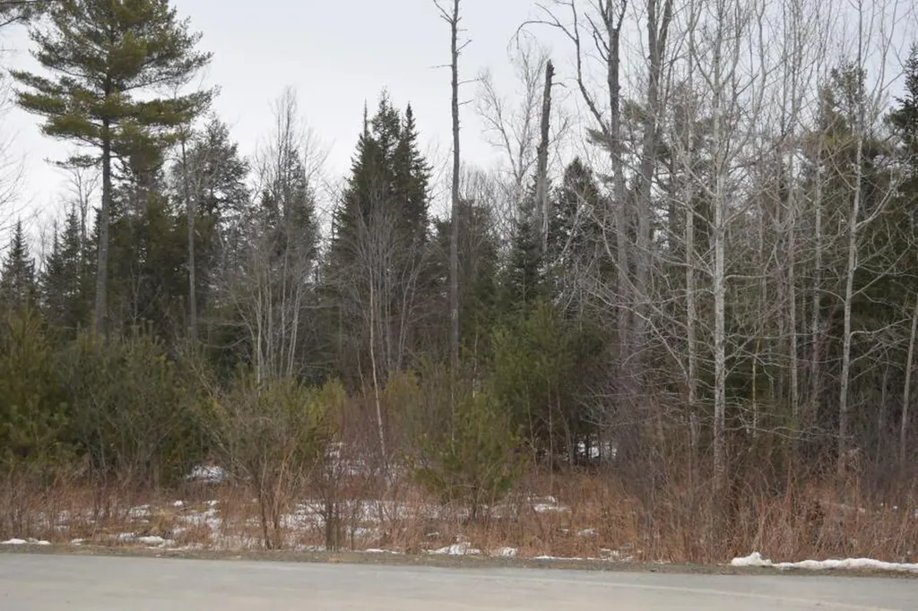 46 Fieldstone Drive Belfast ME 04915