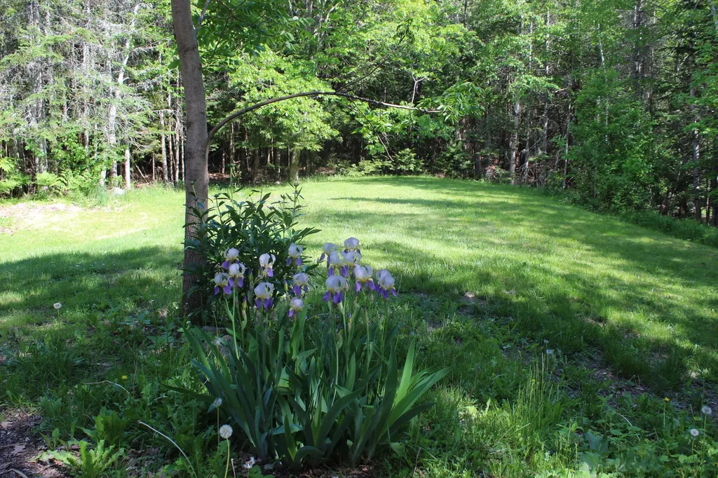 104 State Route 46 Bucksport ME 04416