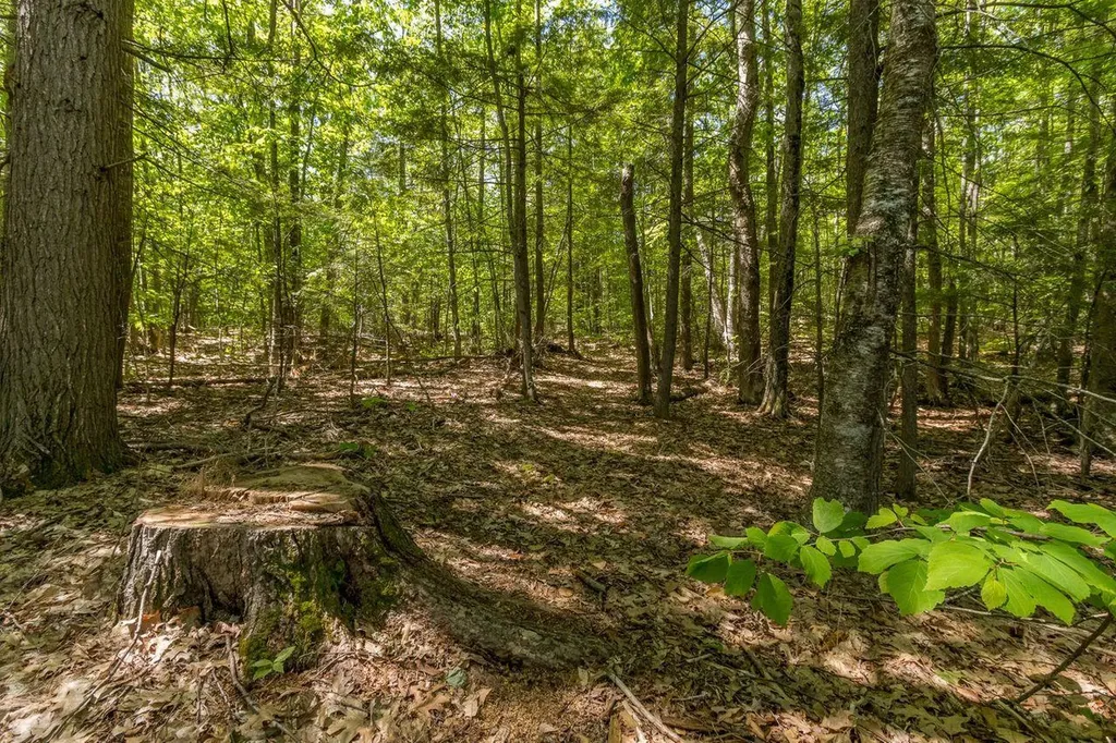 552 Blackstrap Road Falmouth ME 04105