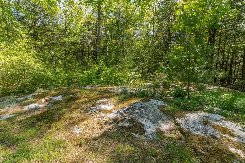 552 Blackstrap Road Falmouth ME 04105