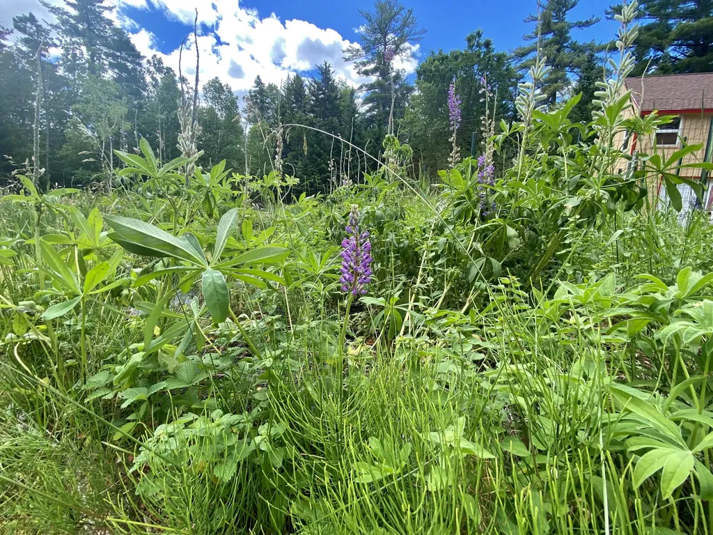 25 Coveside Road Beaver Cove ME 04441