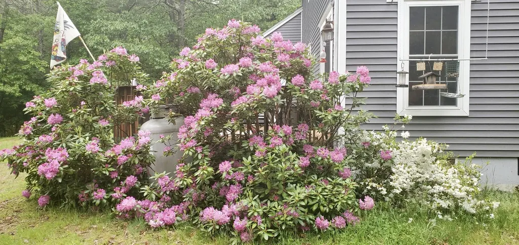 83 Brown Road Raymond ME 04071