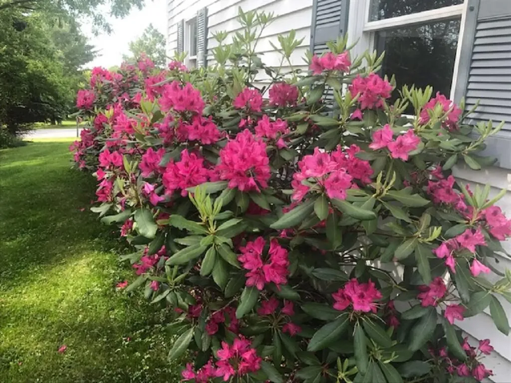 41 Ridge Road Waterville ME 04901