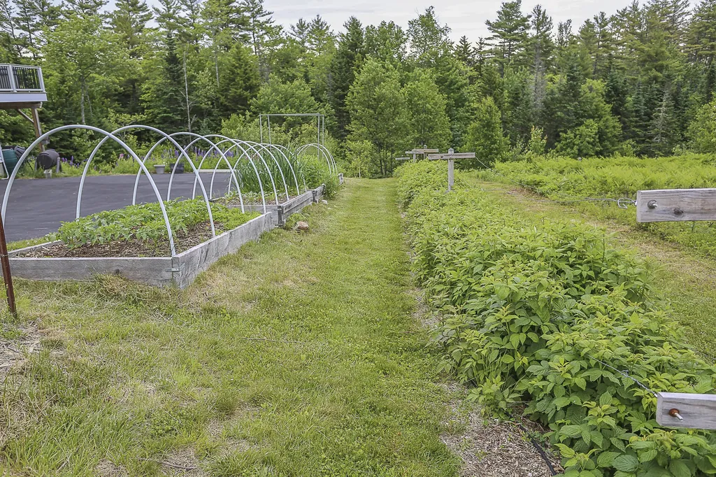 23 Osprey Lane Searsport ME 04974