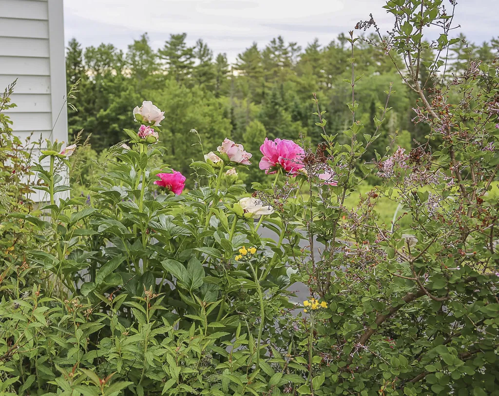 23 Osprey Lane Searsport ME 04974