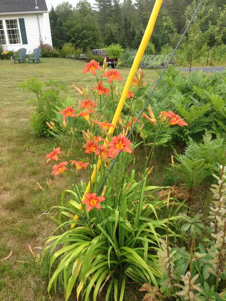 23 Osprey Lane Searsport ME 04974