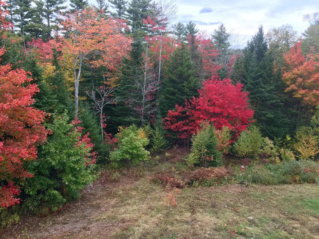 23 Osprey Lane Searsport ME 04974