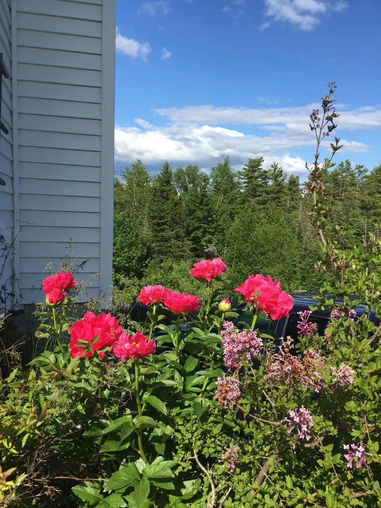 23 Osprey Lane Searsport ME 04974