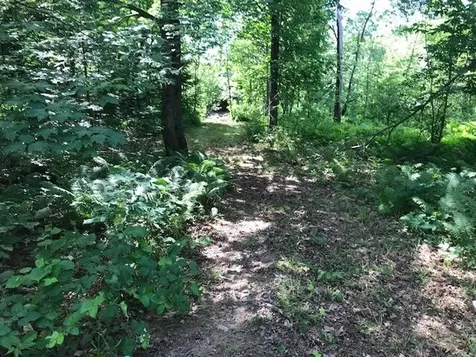 7 Brookside Lane Freeman Twp ME 04983