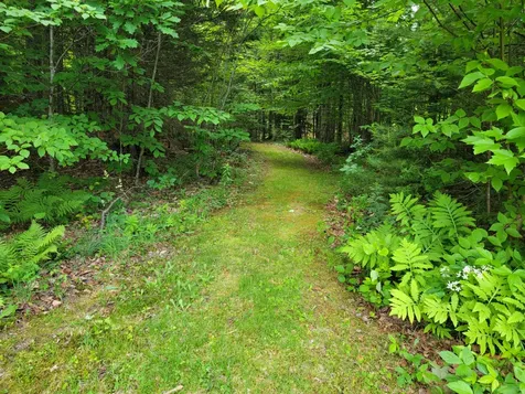 851 Rangeley Road Avon ME 04966