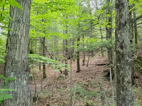 851 Rangeley Road Avon ME 04966