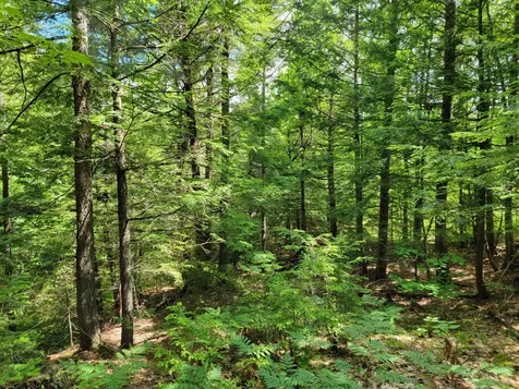 851 Rangeley Road Avon ME 04966