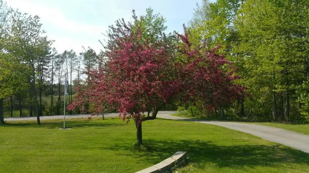 49 Patterson Road Hampden ME 04444