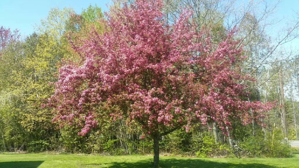 49 Patterson Road Hampden ME 04444