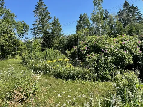 594 North Lubec Road Lubec ME 04652