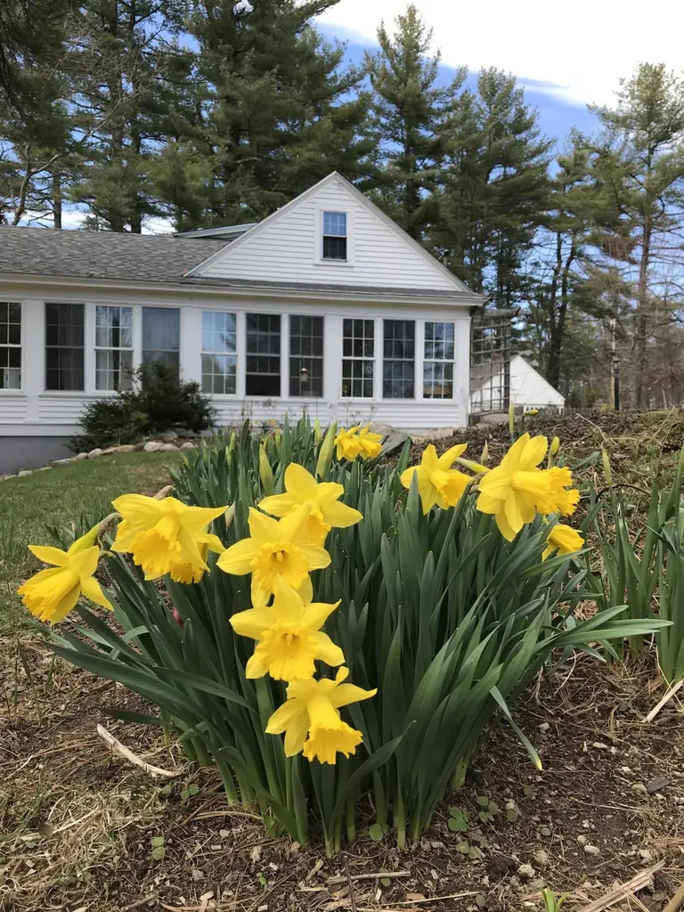 750 Fort Hill Road Gorham ME 04038