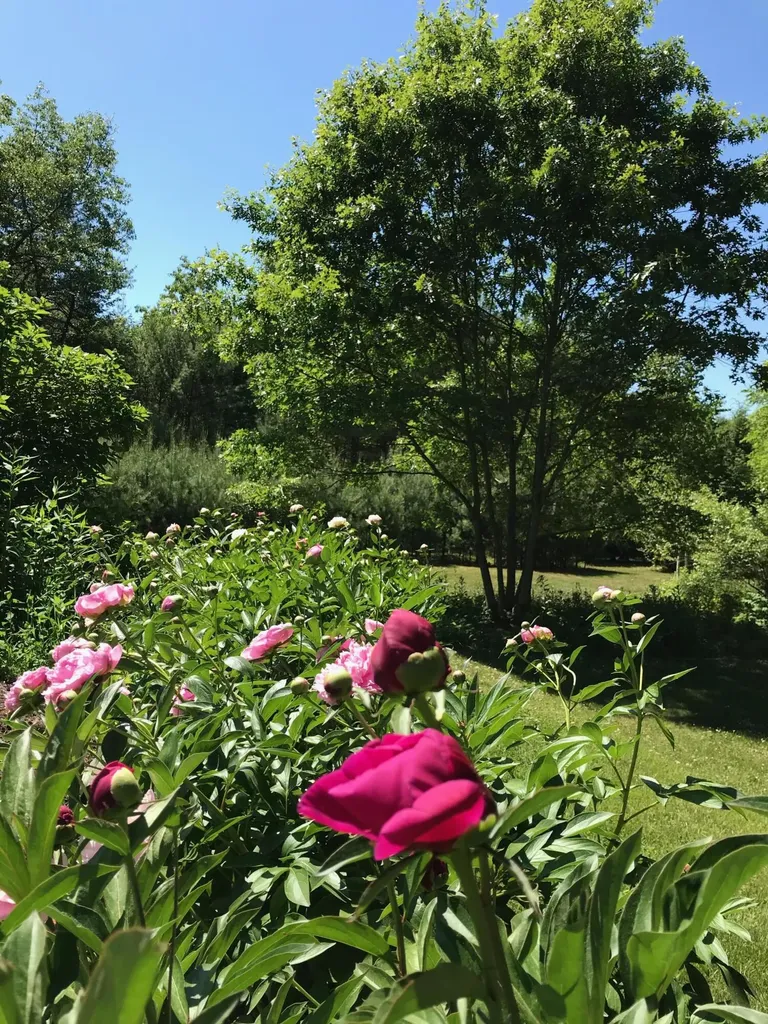 750 Fort Hill Road Gorham ME 04038