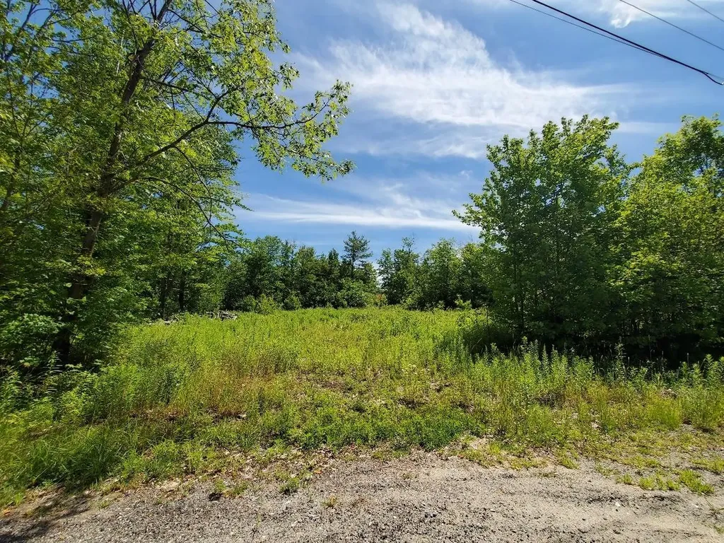 16 Village View Jay ME 04239