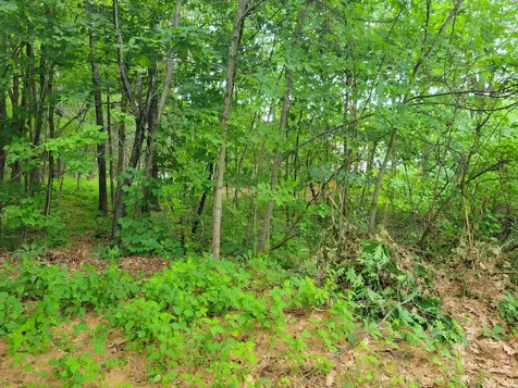 Tbd Birch Street Livermore Falls ME 04254