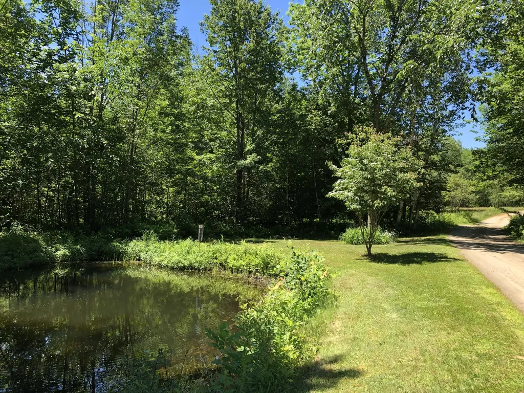 48 Wild Woods Drive Sumner ME 04292