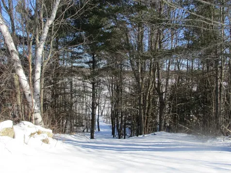 321 Wilson Pond Road Monmouth ME 04265