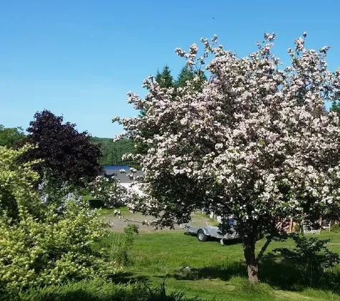 321 Wilson Pond Road Monmouth ME 04265