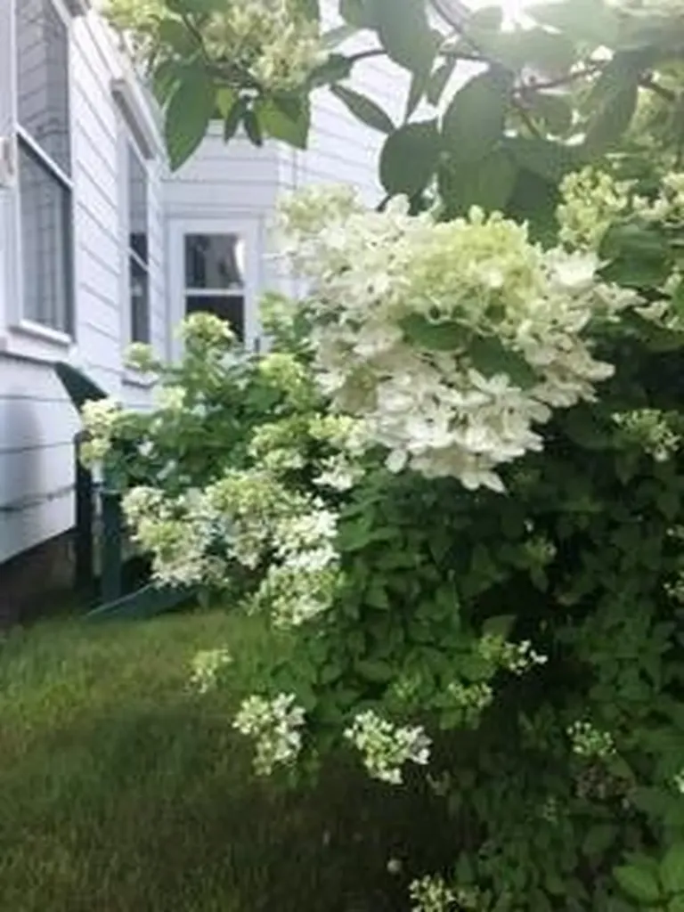 8 Pleasant Street Norway ME 04268