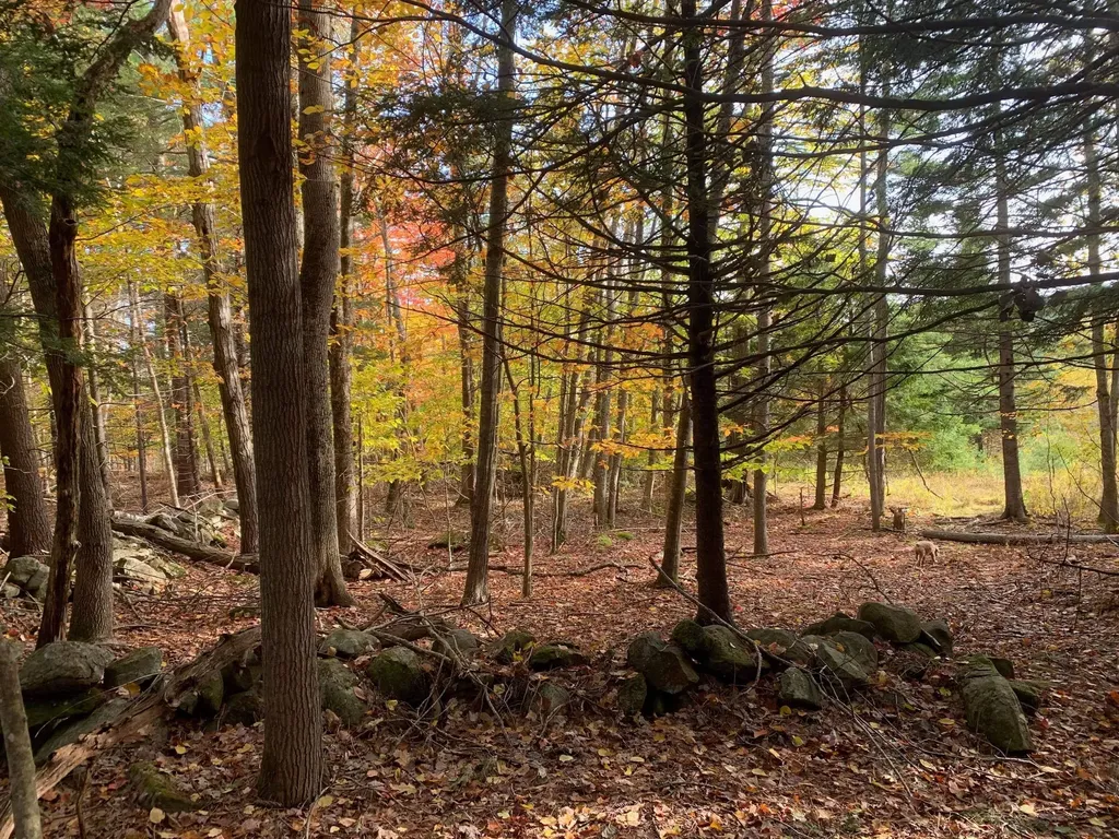 0 Moody Mountain Road Lincolnville ME 04849