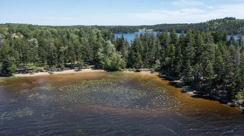 Lot 26 Lucas Lane Whiting ME 04691