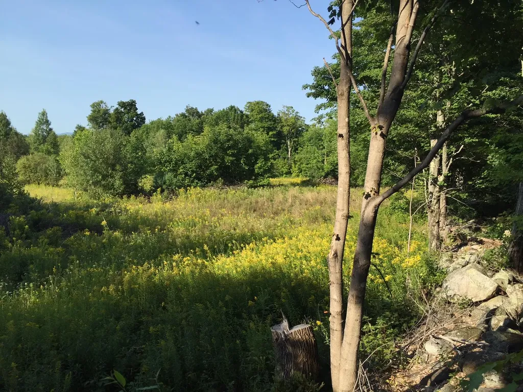 385 Mosher Hill Road Farmington ME 04938