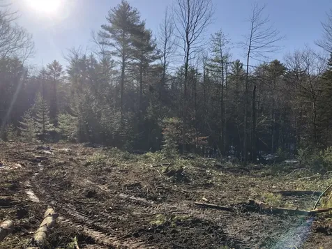 20 West Beech Ridge Road Scarborough ME 04074