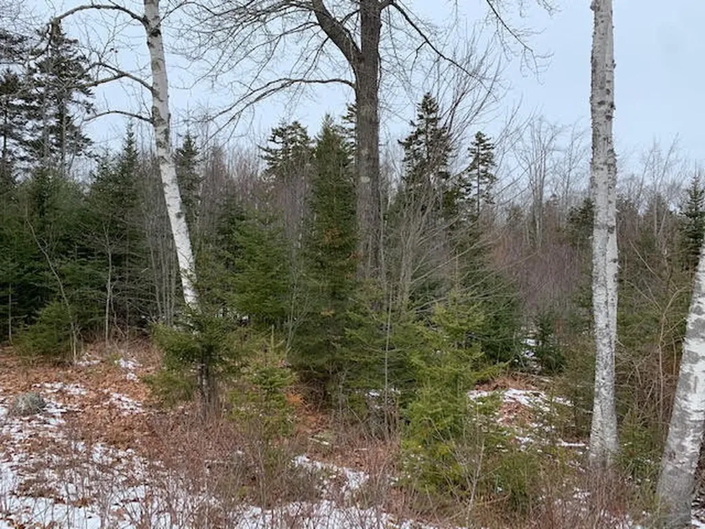 0 Seal Harbor Road Saint George ME 04860