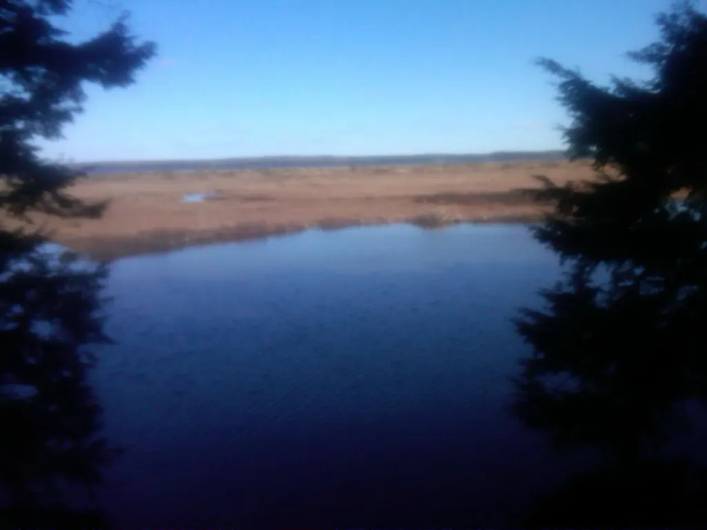 3 Heath Road Mariaville ME 04605