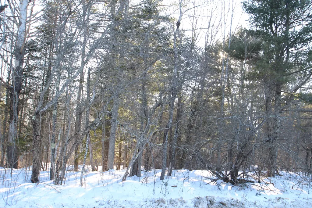 9999 Patterson Mill Road Warren ME 04864