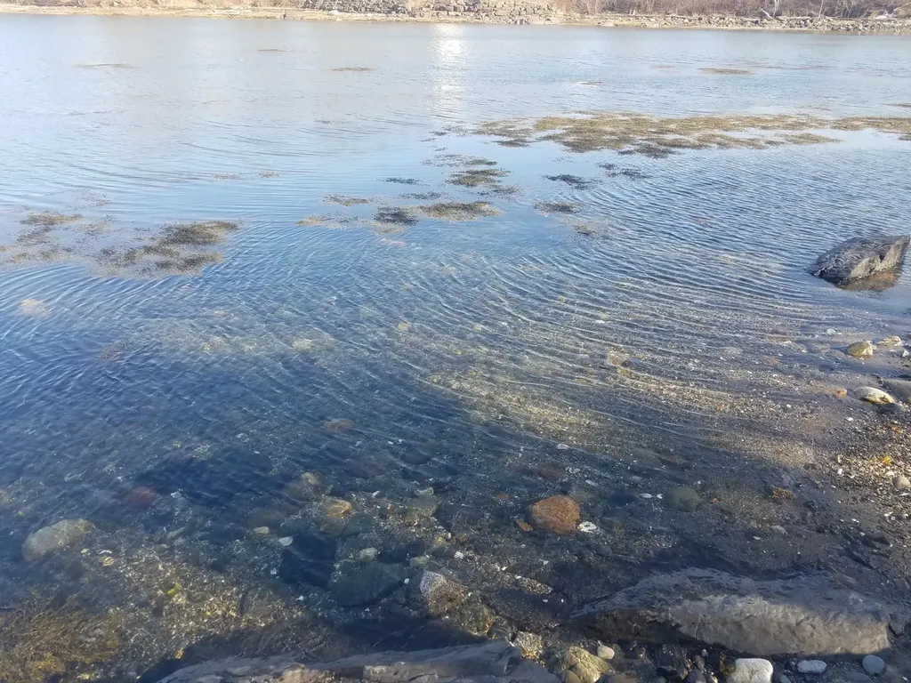 3 Schooner Bay Drive Owls Head ME 04854