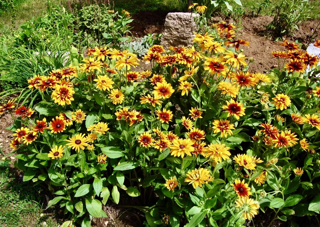 10 Lovejoy Pond Road Wayne ME 04284