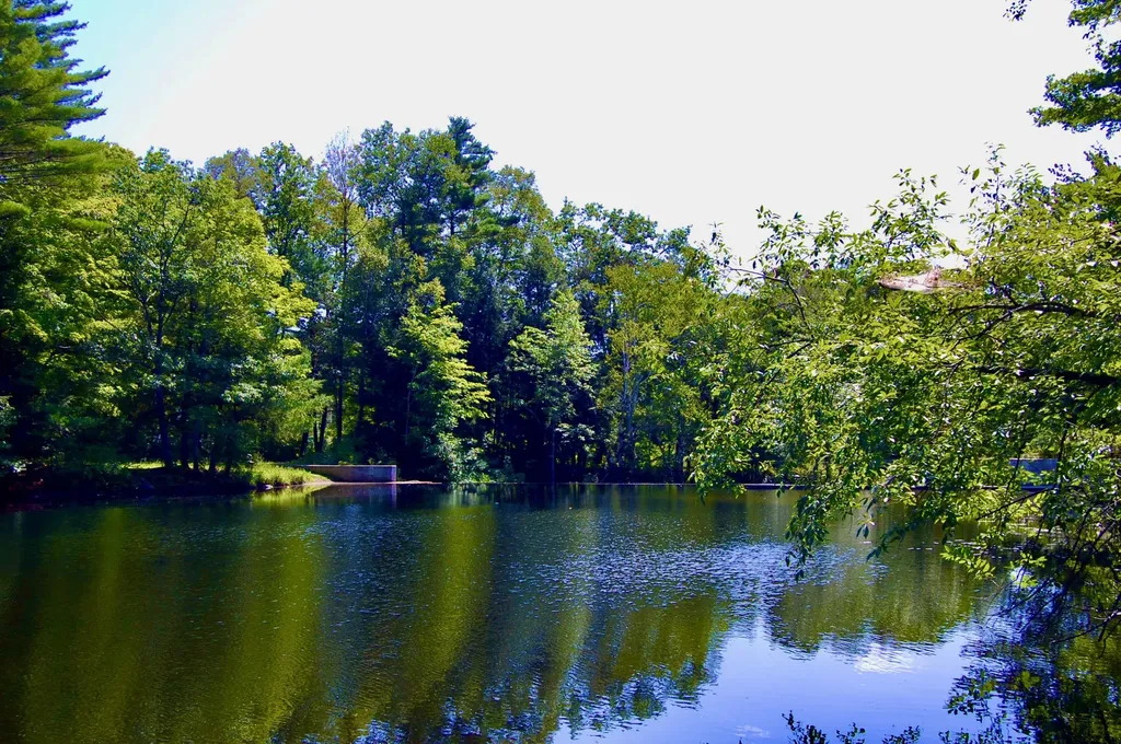 10 Lovejoy Pond Road Wayne ME 04284