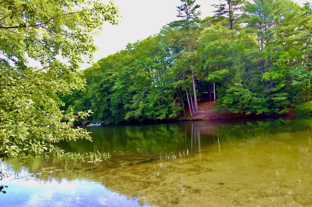 10 Lovejoy Pond Road Wayne ME 04284