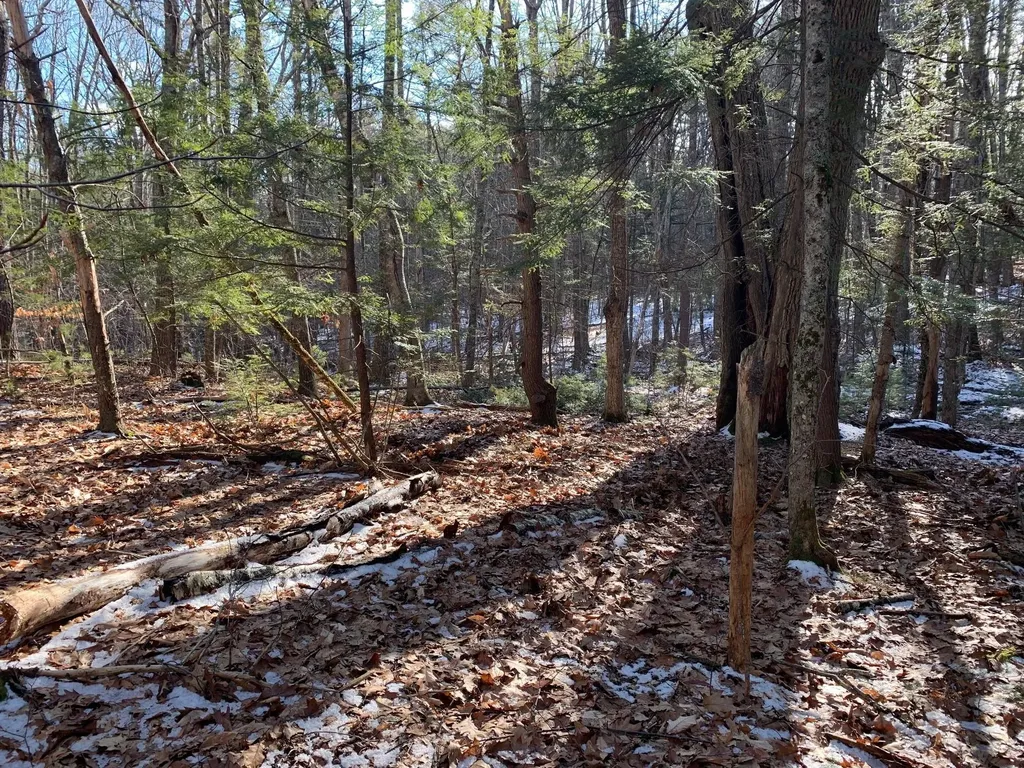 Lot B Kimball Lane Kennebunk ME 04043