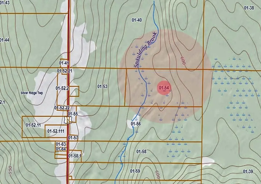 Lot 54 Off Us 2 Road Silver Ridge Twp ME 04776