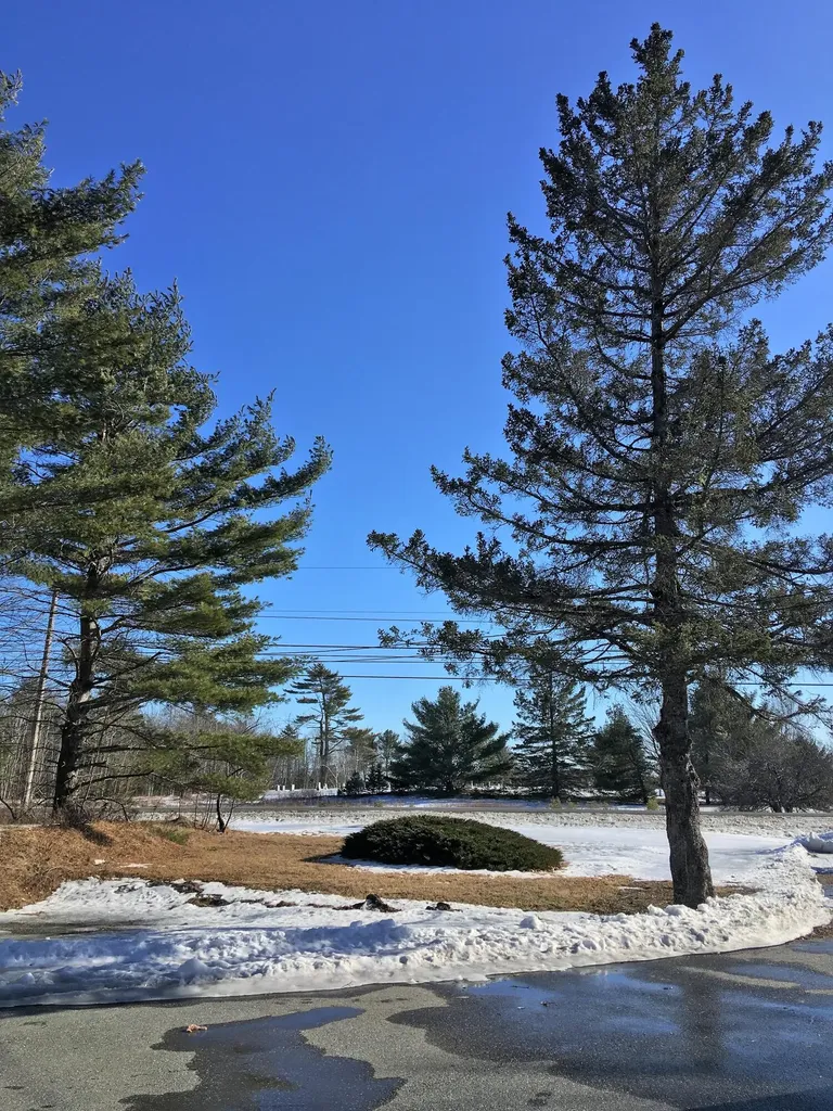 1325 Bucksport Road Ellsworth ME 04605
