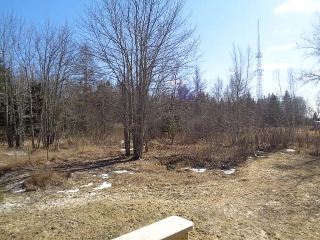 97 Old Addison Road Harrington ME 04643