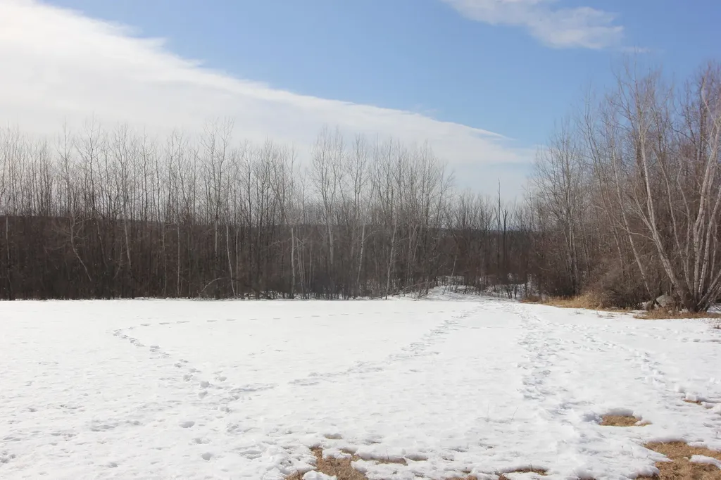 381 Greenwood Mountain Road Hebron ME 04238