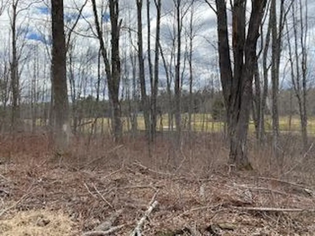 0 Bluff Road Northport ME 04849