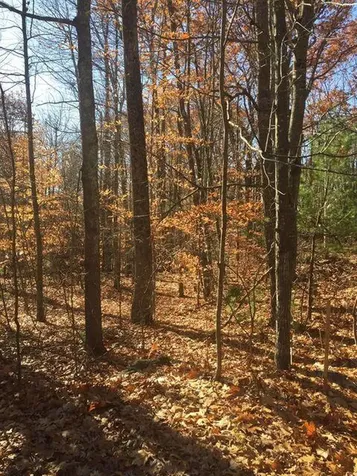 76 Falmouth Road Windham ME 04062