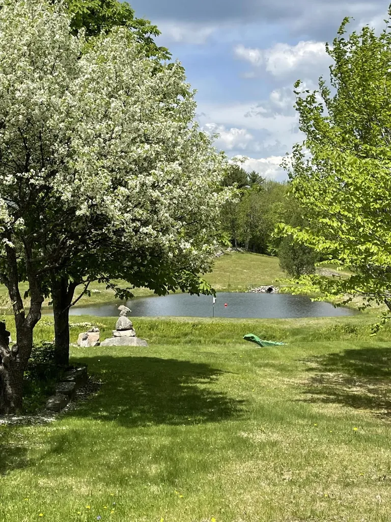 133 Pickett Hill Road Denmark ME 04022